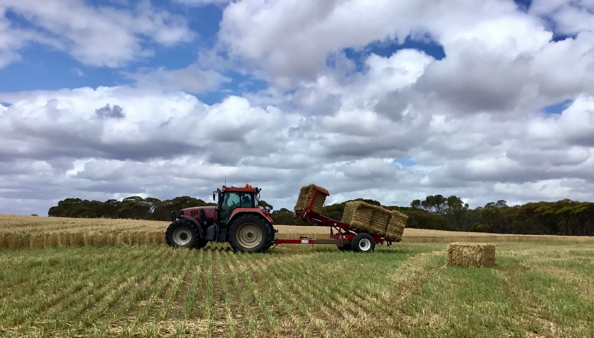 Additional image 7 of 163 McAskill Road, Karkoo SA 5632