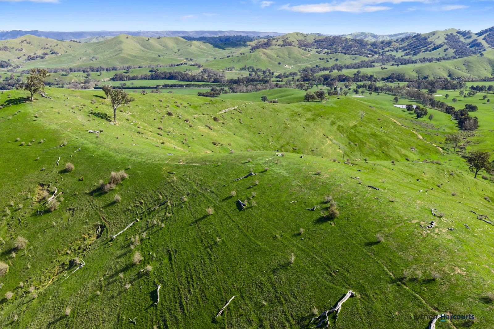 Additional image 6 of 53 Halls Outlet Road, Alexandra VIC 3714