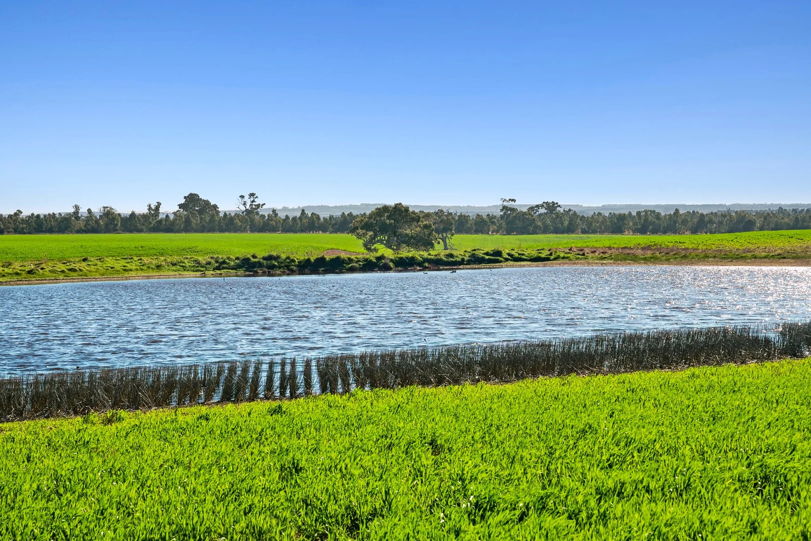 Additional image 5 of 1412 Bannockburn-Shelford Road, Teesdale VIC 3328