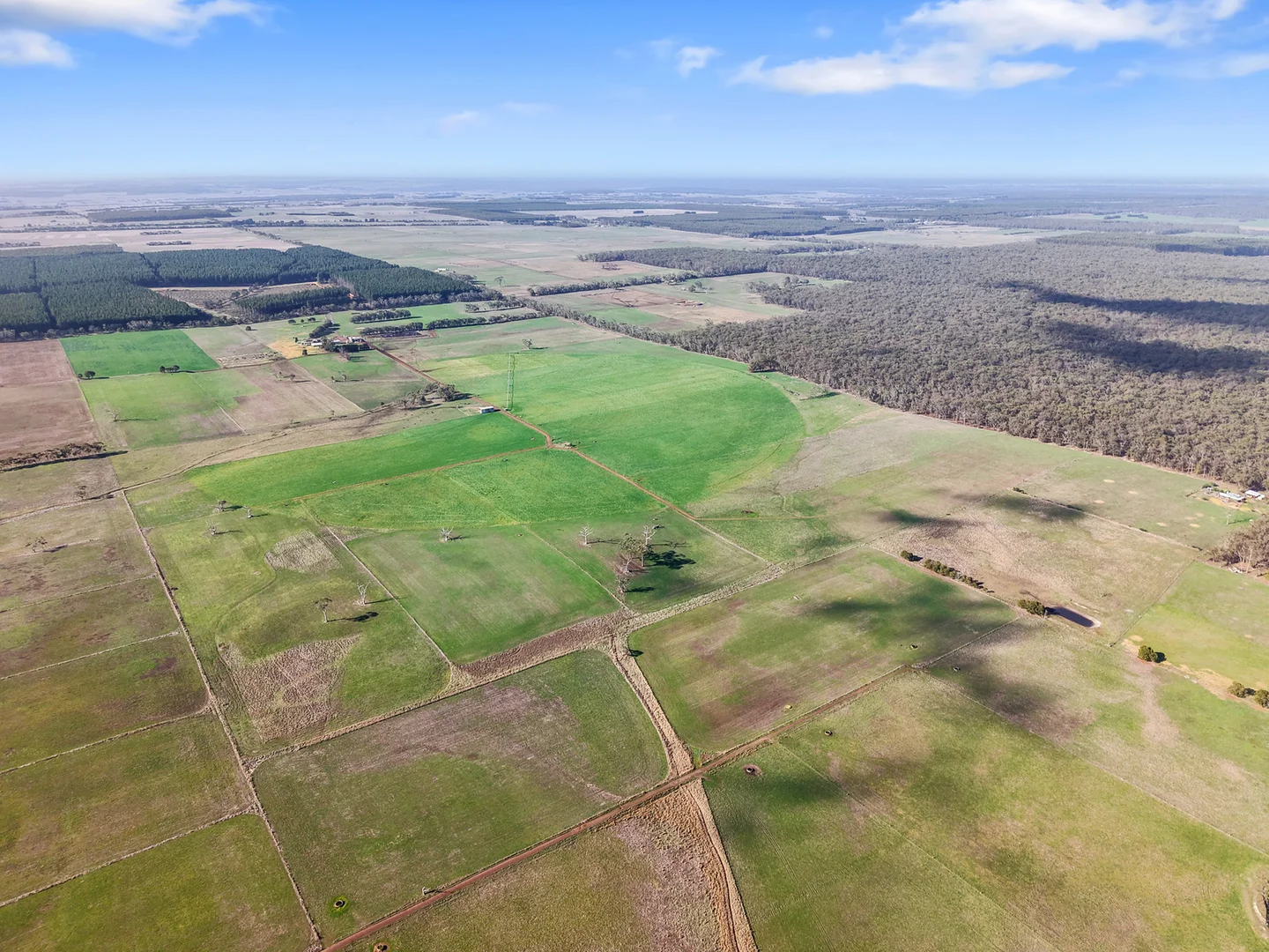 Additional image 32 of 140 Savins Road, Condah VIC 3303