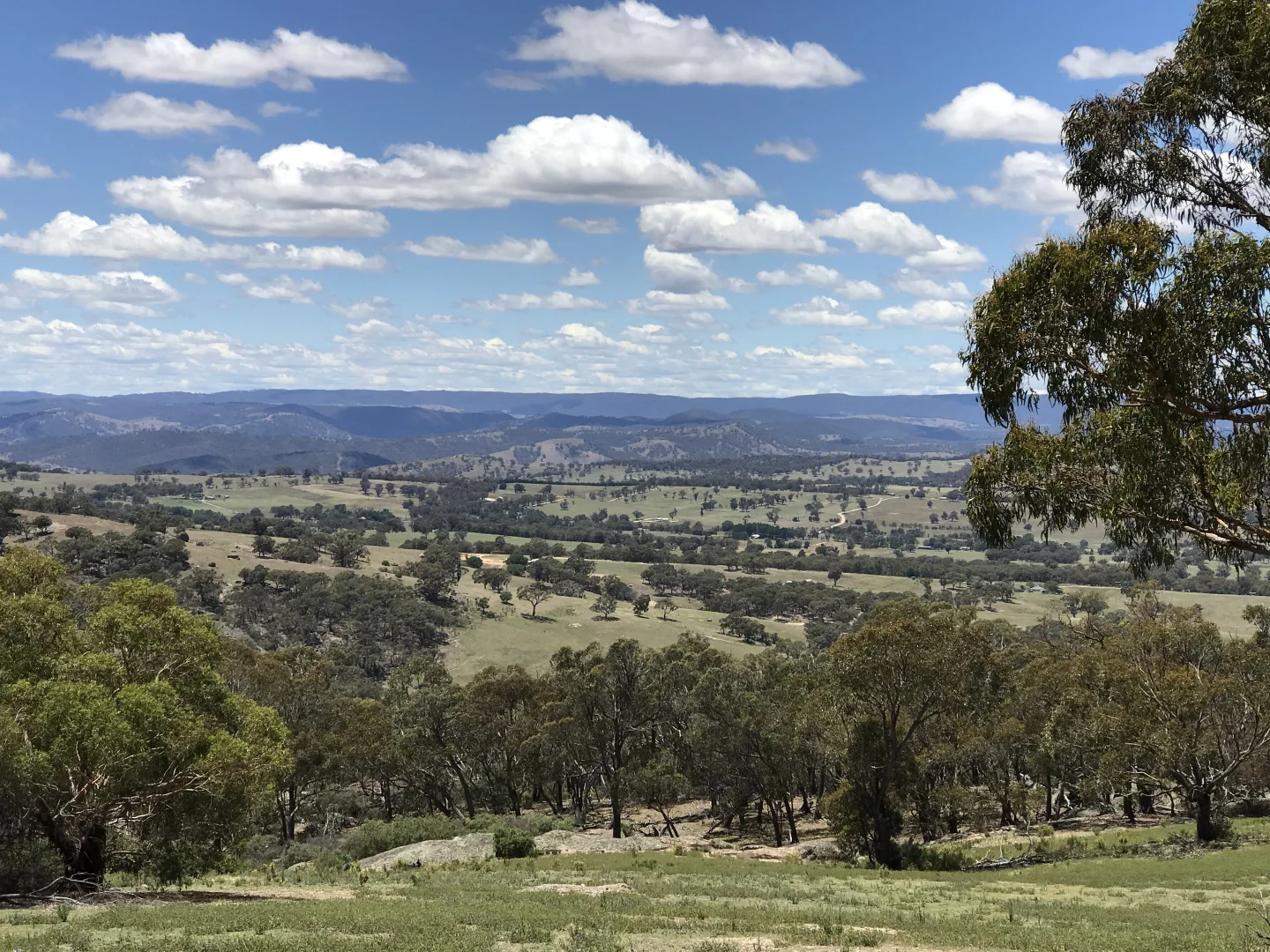 Additional image 5 of Mount Rankin NSW 2795