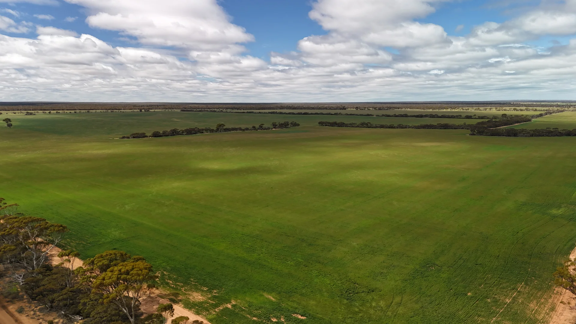 Additional image 12 of 3279 Calzoni Road, Hyden WA 6359