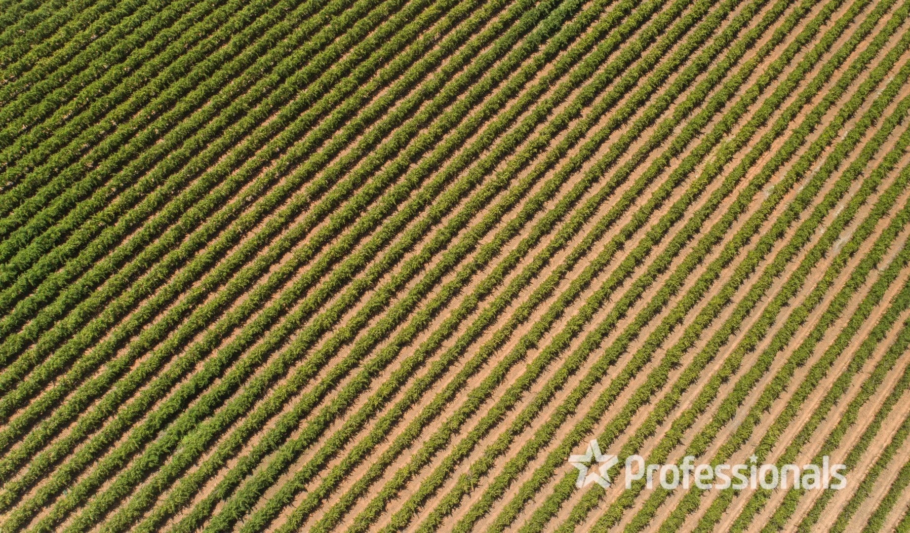 Additional image 4 of Lot 2 Twentieth Street, Cardross VIC 3496