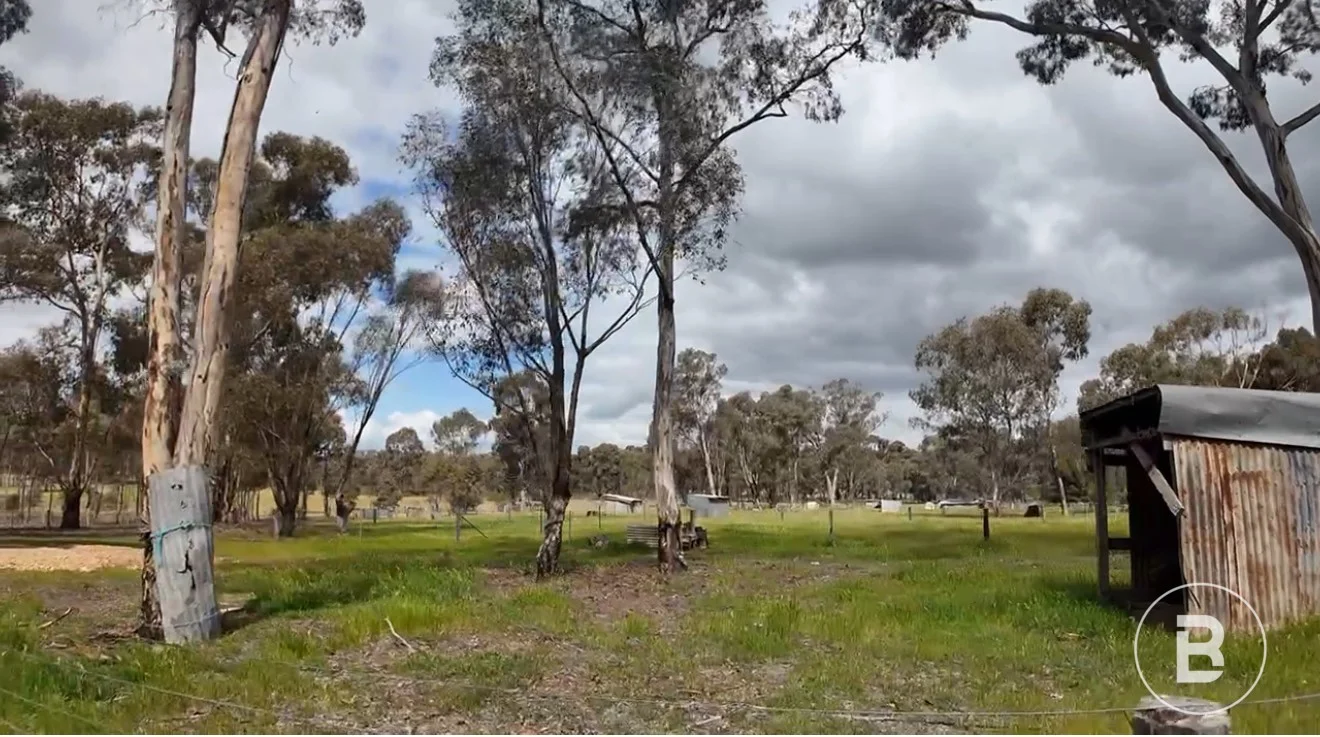 Additional image 10 of 363 Tullaroop Road, Maryborough VIC 3465