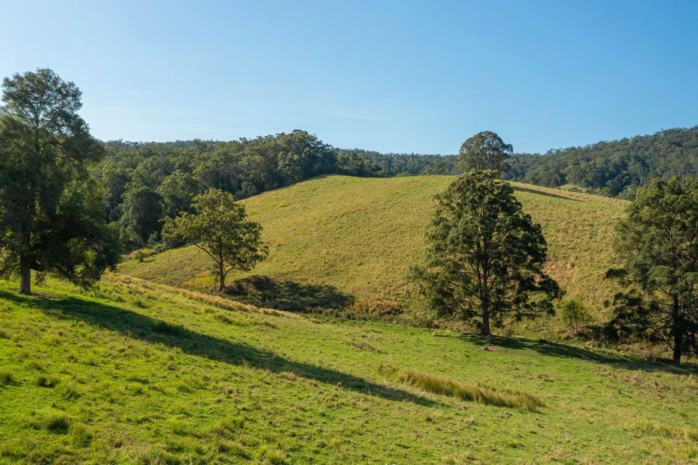 Additional image 3 of 353 Rhones Creek Road, Talarm NSW 2447