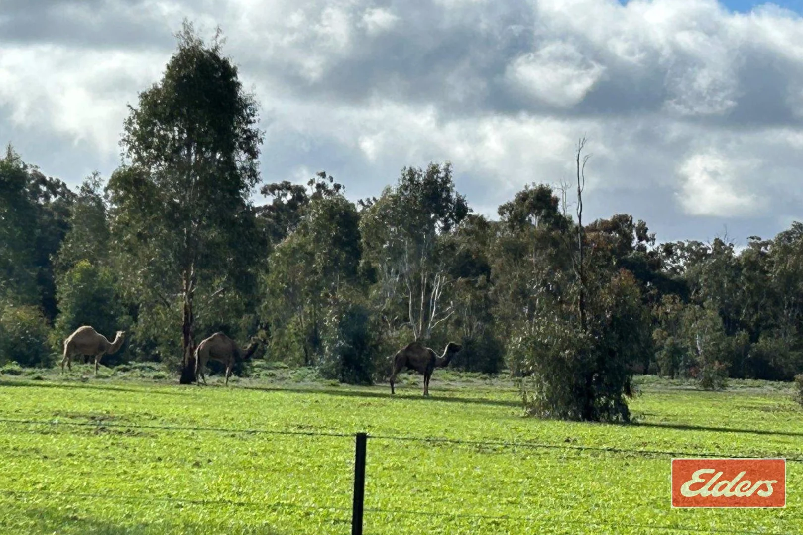 Additional image 16 of 220 Old Barmah Road, Moama NSW 2731