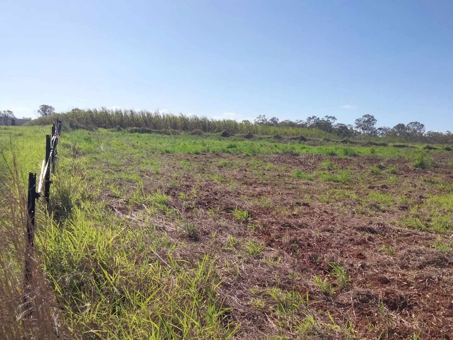 Additional image 61 of 2913 Rosedale Road, Yandaran QLD 4673