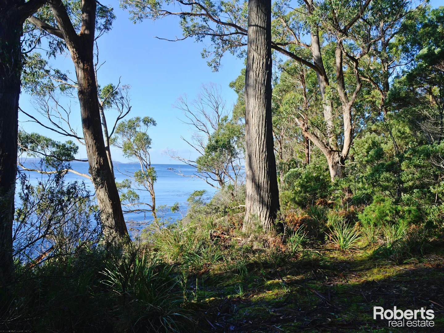 Additional image 7 of Lot 1 Lady Bay Road, Southport TAS 7109