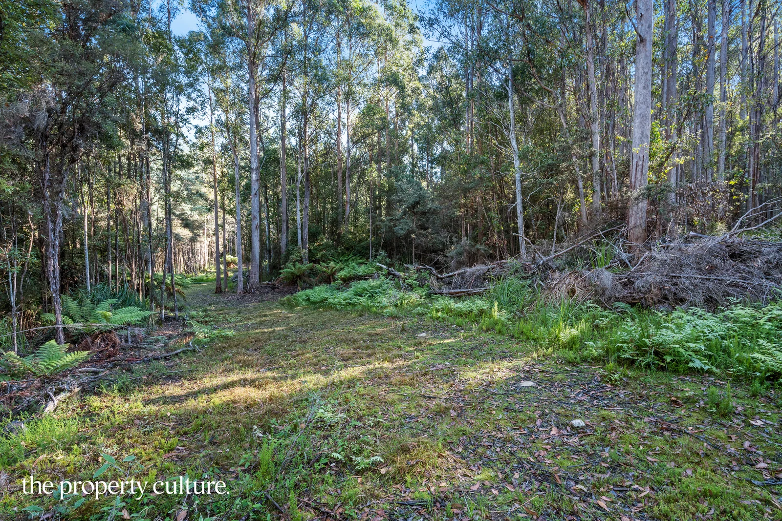 Additional image 8 of 2 Deering Street, Franklin TAS 7113