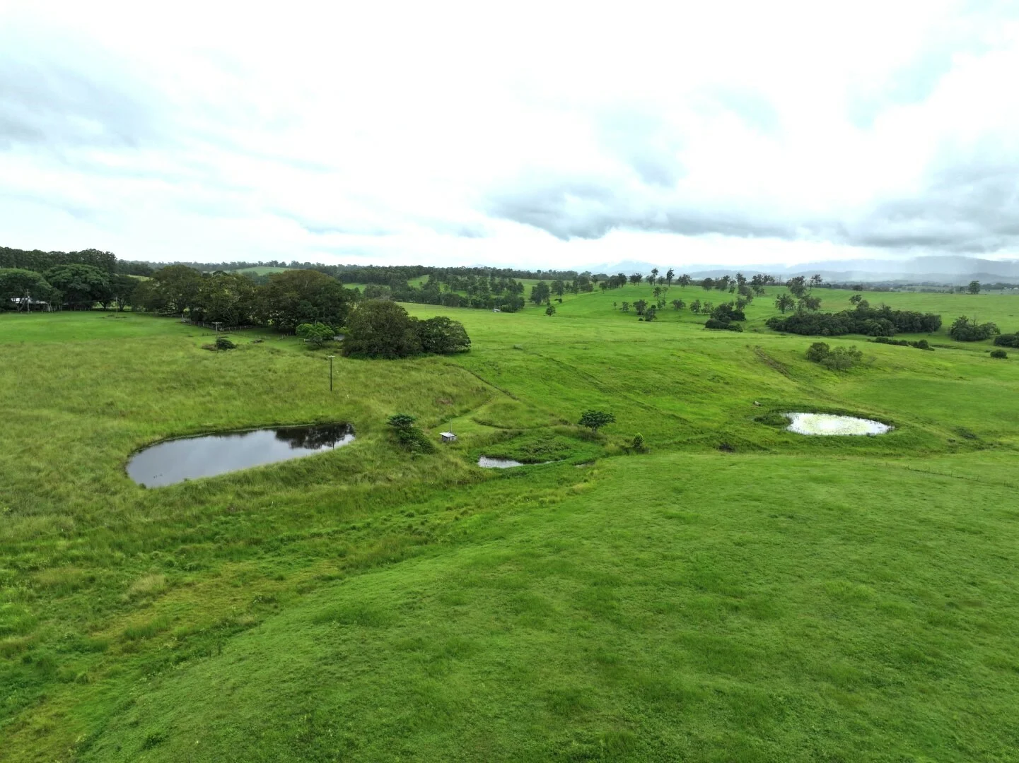 Additional image 13 of 284 Upper Stratheden Road, Kyogle NSW 2474