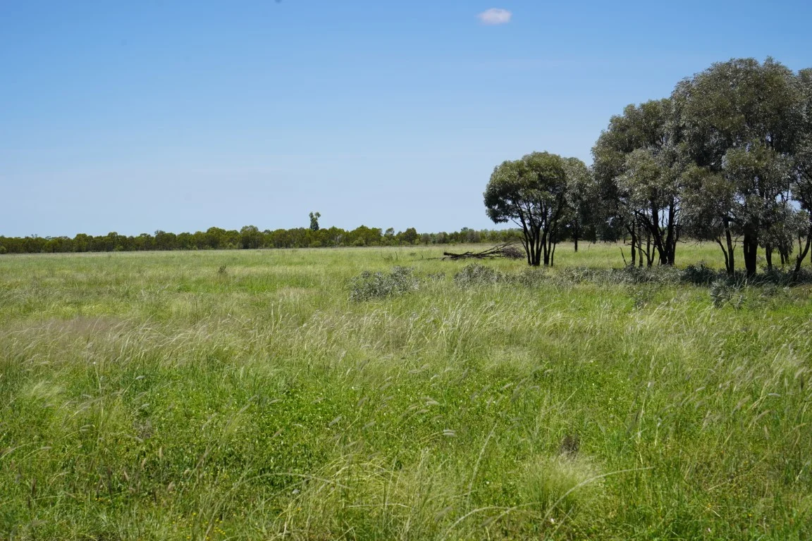 Additional image 16 of 1081 Tareela Access Road, Mungallala QLD 4467