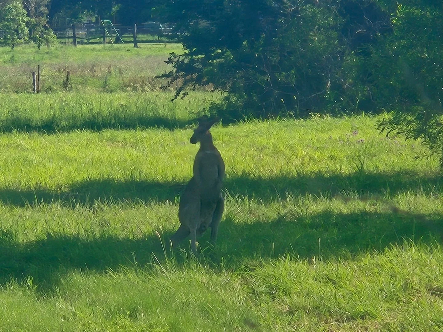 Additional image 7 of Marburg QLD 4346