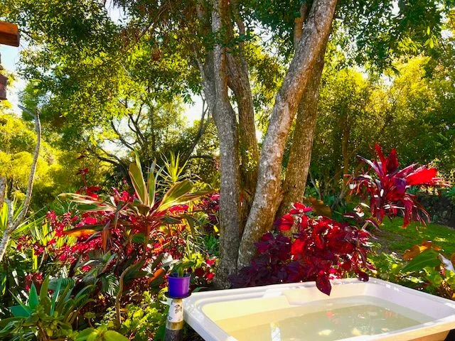 Additional image 7 of 807 RESERVE CREEK ROAD, Reserve Creek NSW 2484