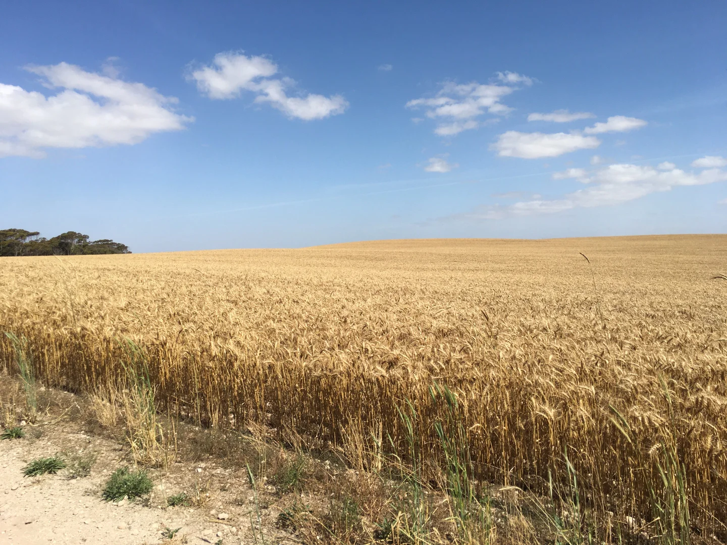 Additional image 12 of 163 McAskill Road, Karkoo SA 5632