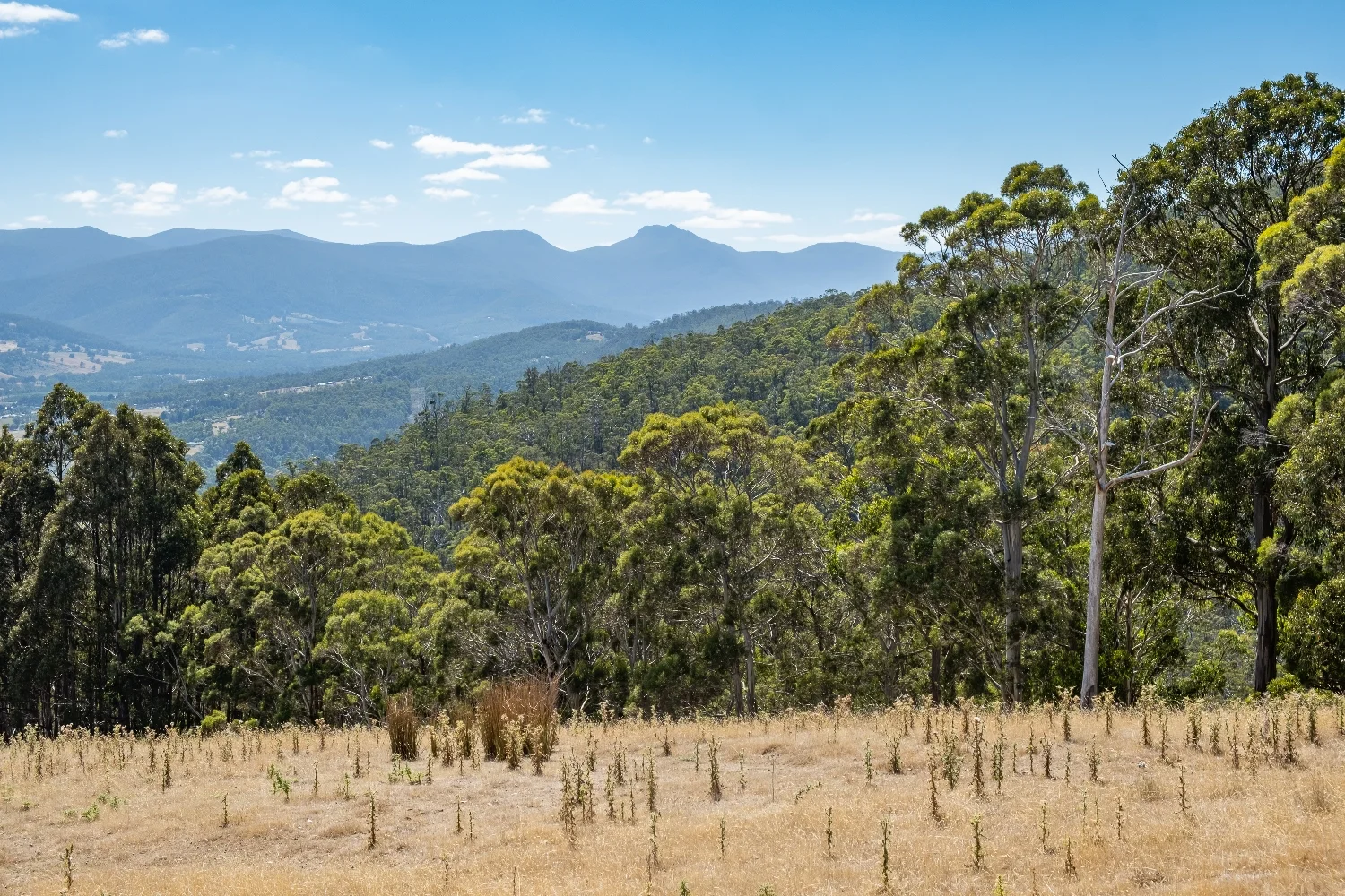 Additional image 10 of 8862 Channel Highway, Huonville TAS 7109