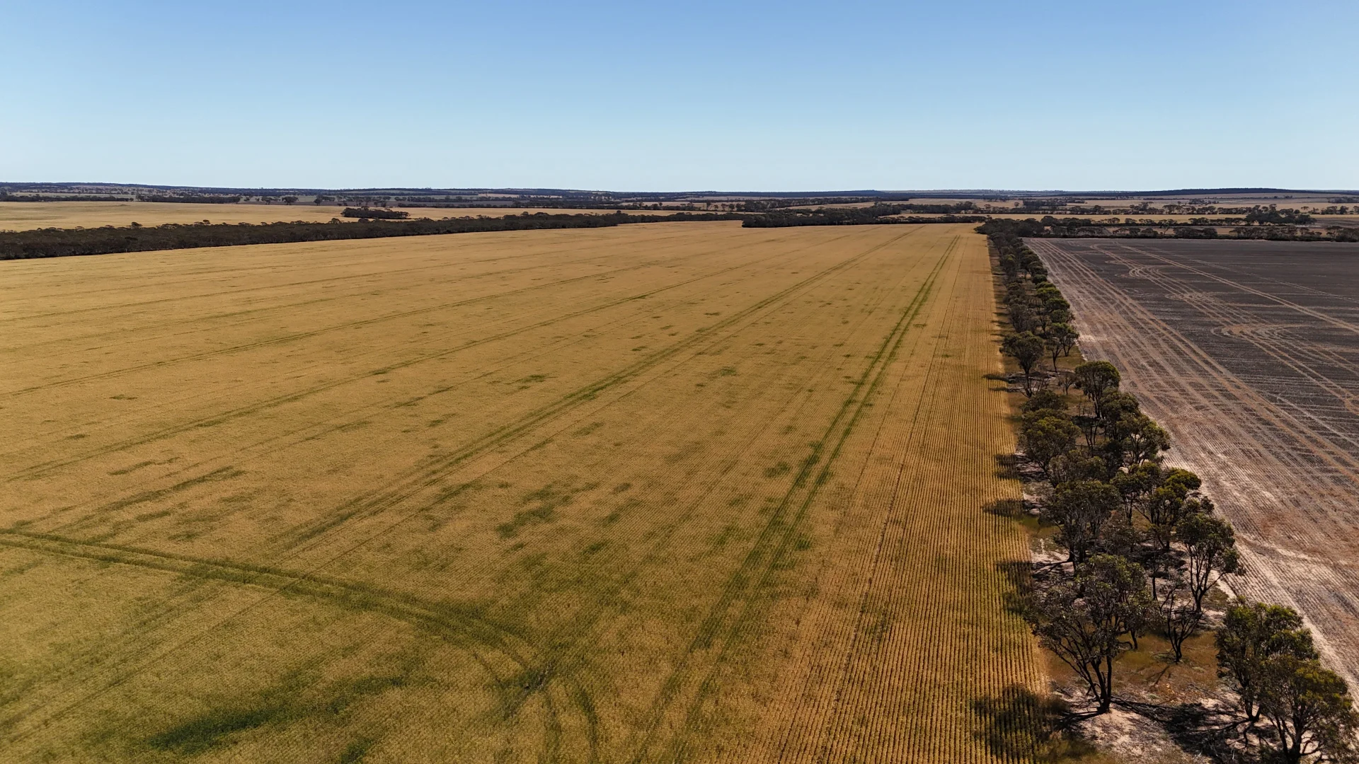 Additional image 36 of 3279 Calzoni Road, Hyden WA 6359