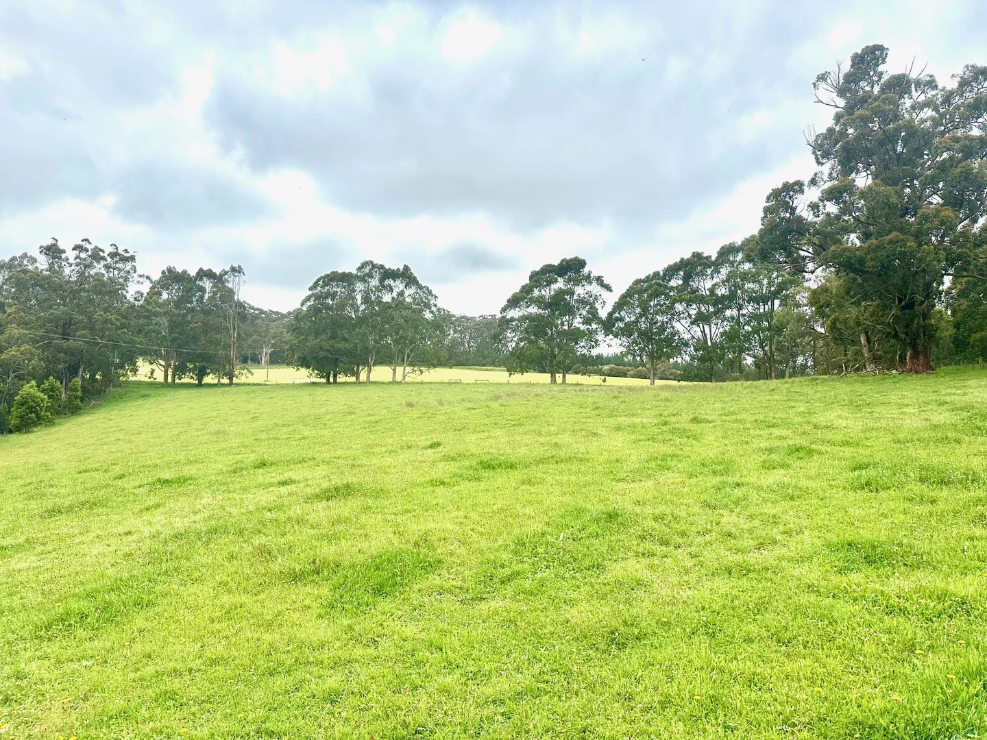 Additional image 5 of 655 Old Thorpdale Road, Mirboo North VIC 3871