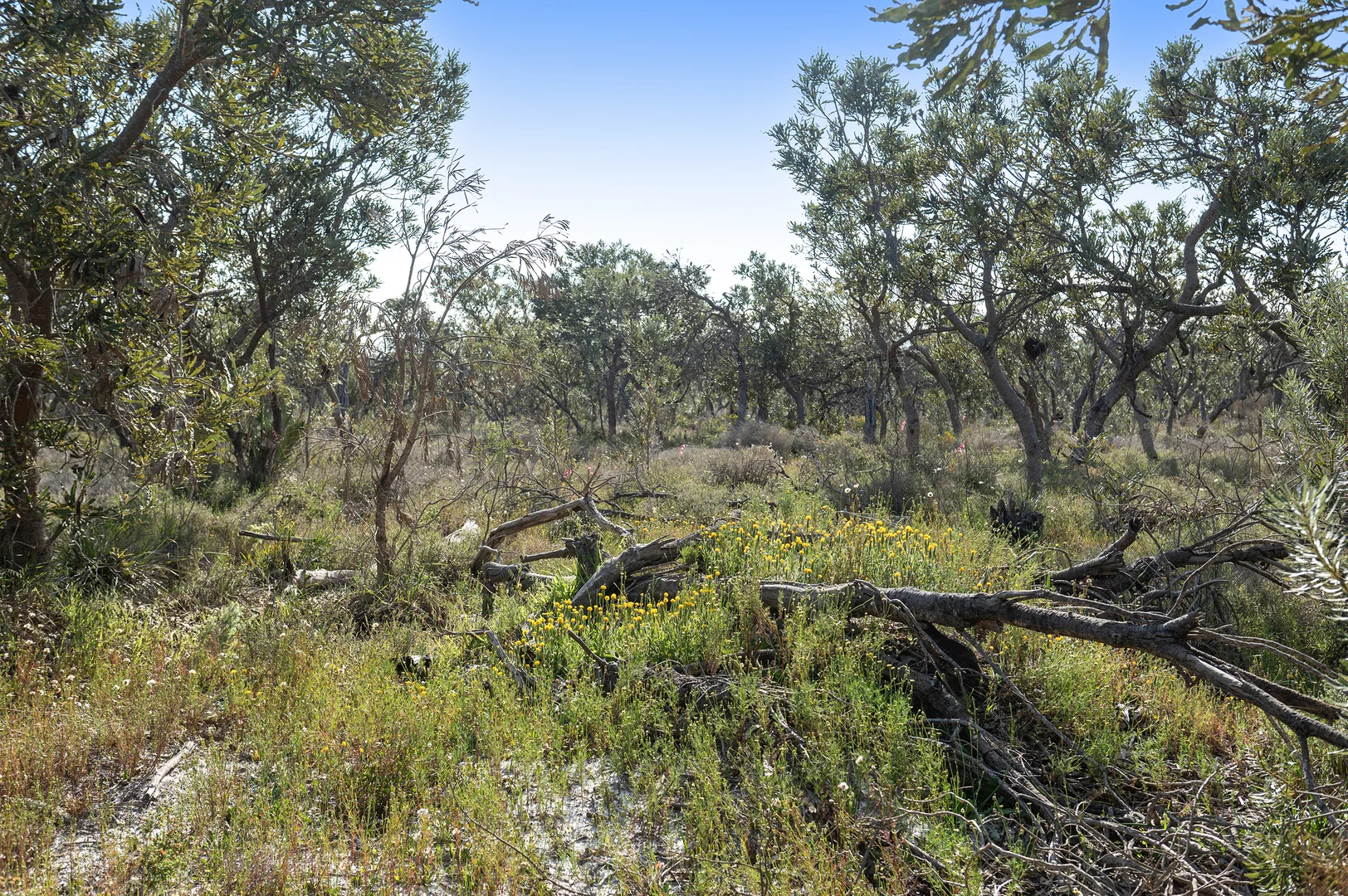 Additional image 9 of 3691 Duffy Road, Bambun WA 6503