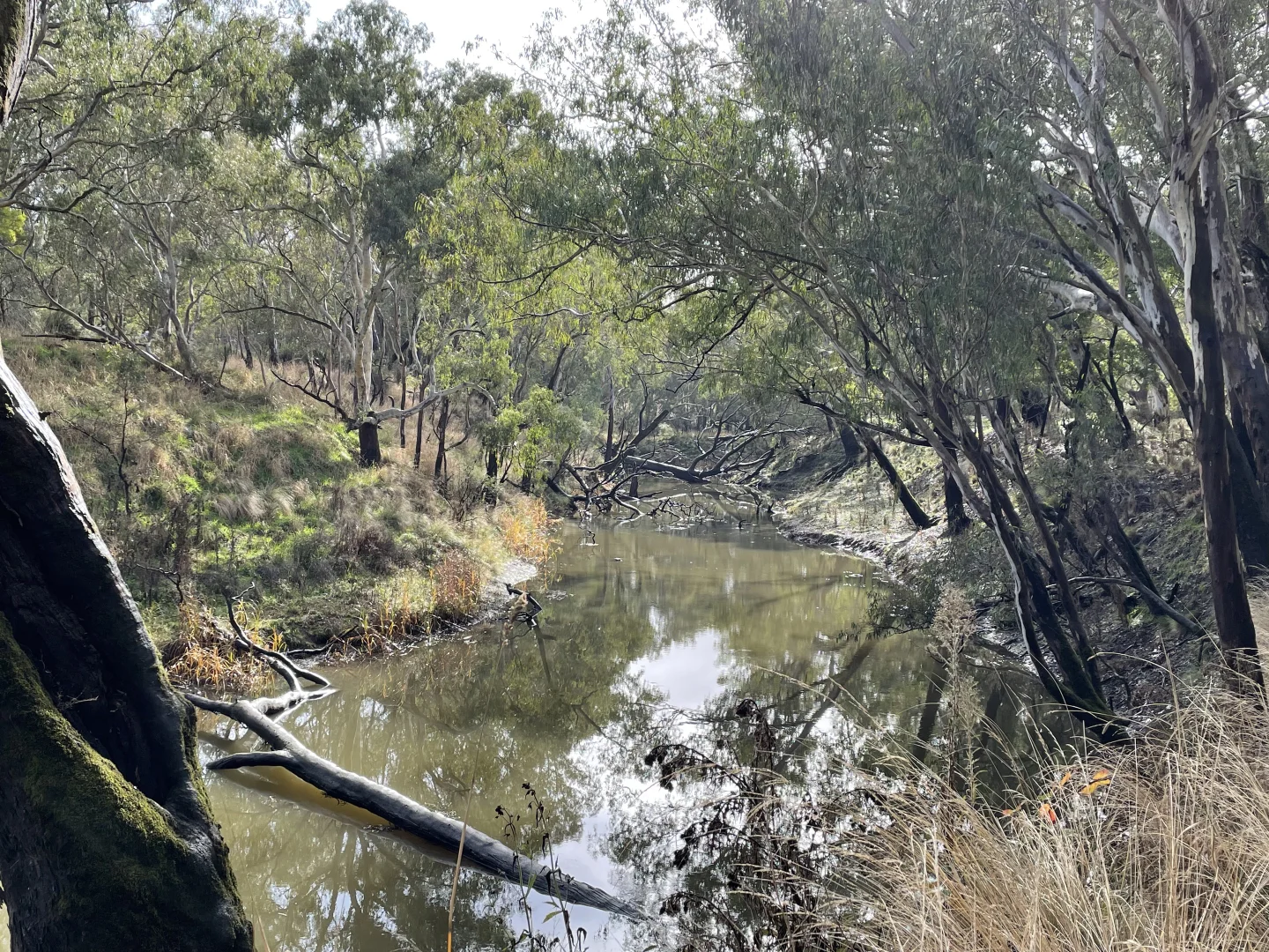 Additional image 2 of Dartmoor-Hamilton Road, Dartmoor VIC 3304