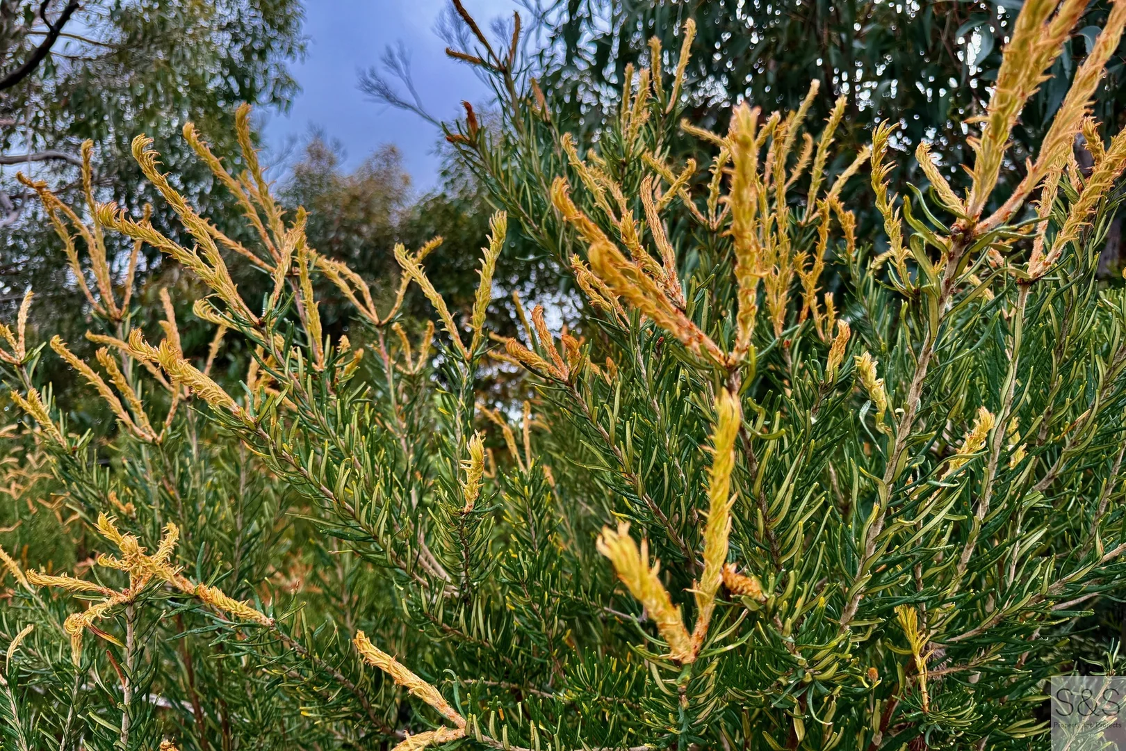 Additional image 27 of 678 Baxters Road, Karatta SA 5223