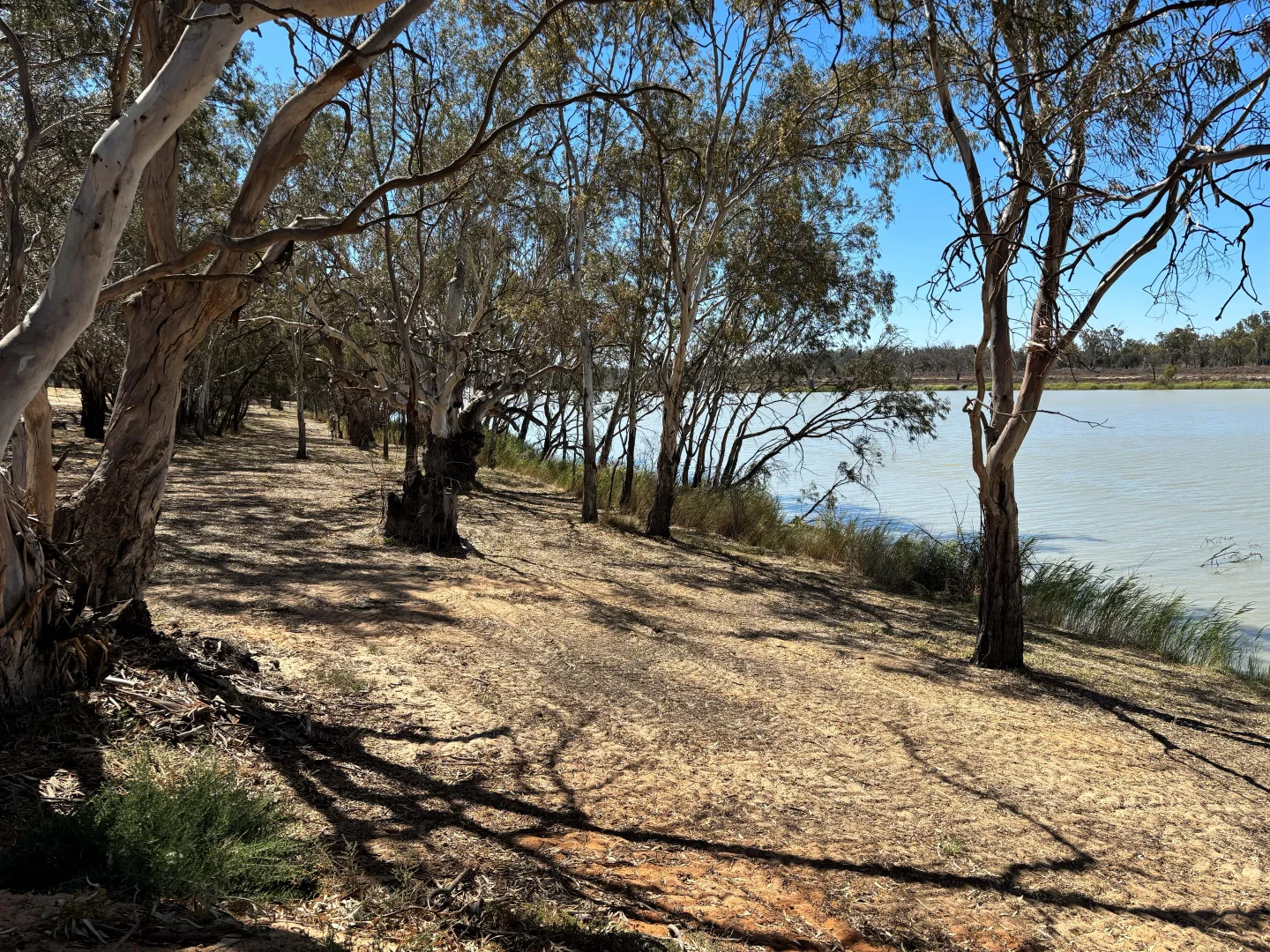 Additional image 4 of 108 Pike Creek Road, Lyrup SA 5343