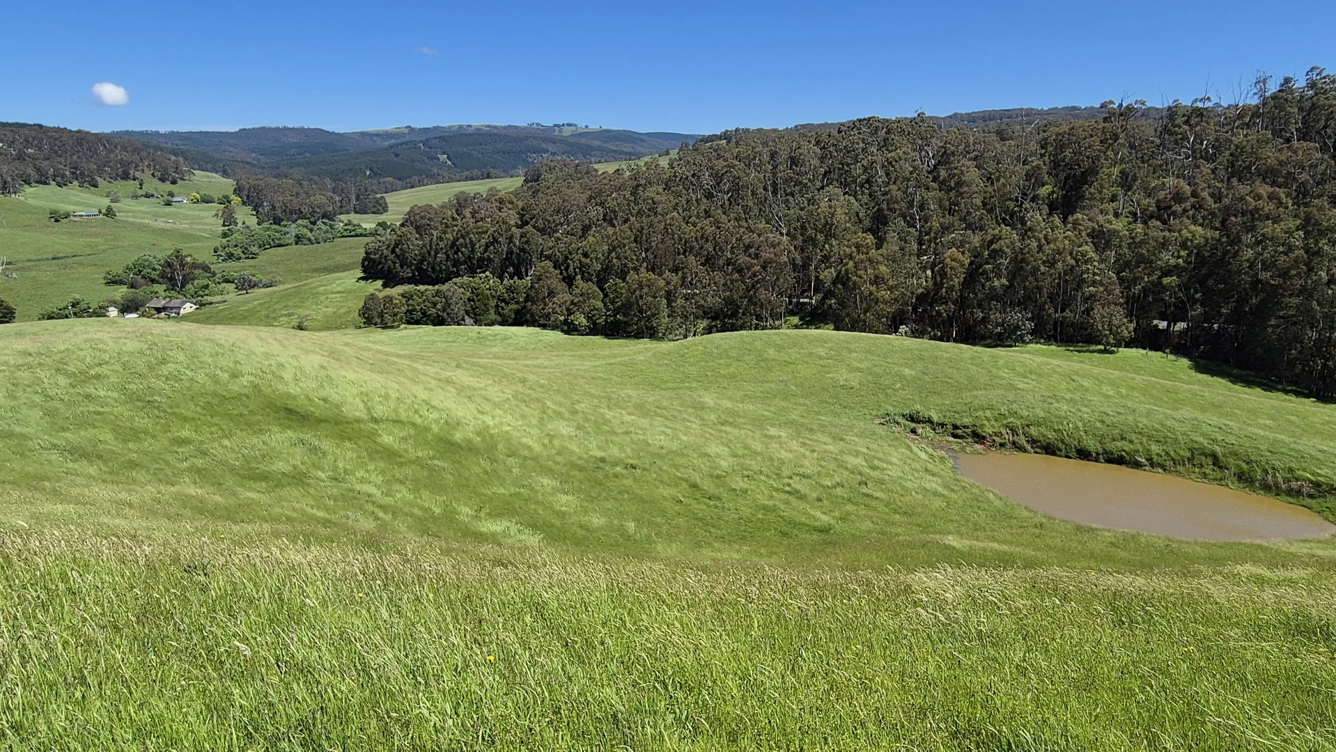 Additional image 22 of 735 Callignee South Road, Callignee VIC 3844