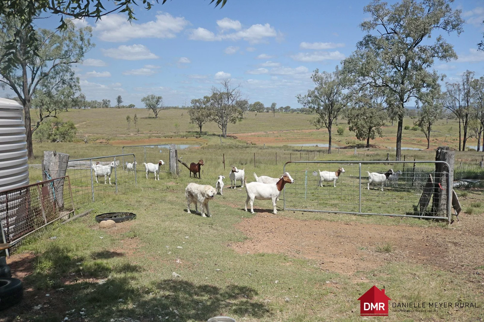 Additional image 12 of 110 Benhams Road, Mundubbera QLD 4626