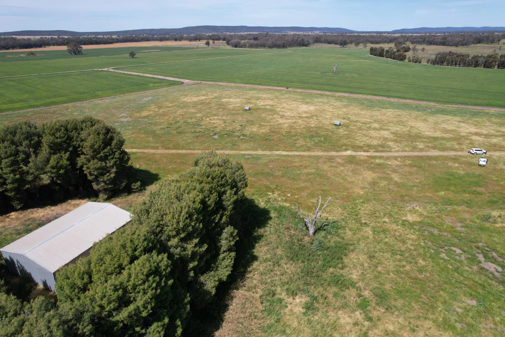 Additional image 17 of 2071 Yarrabandai Road, Bedgerabong NSW 2871