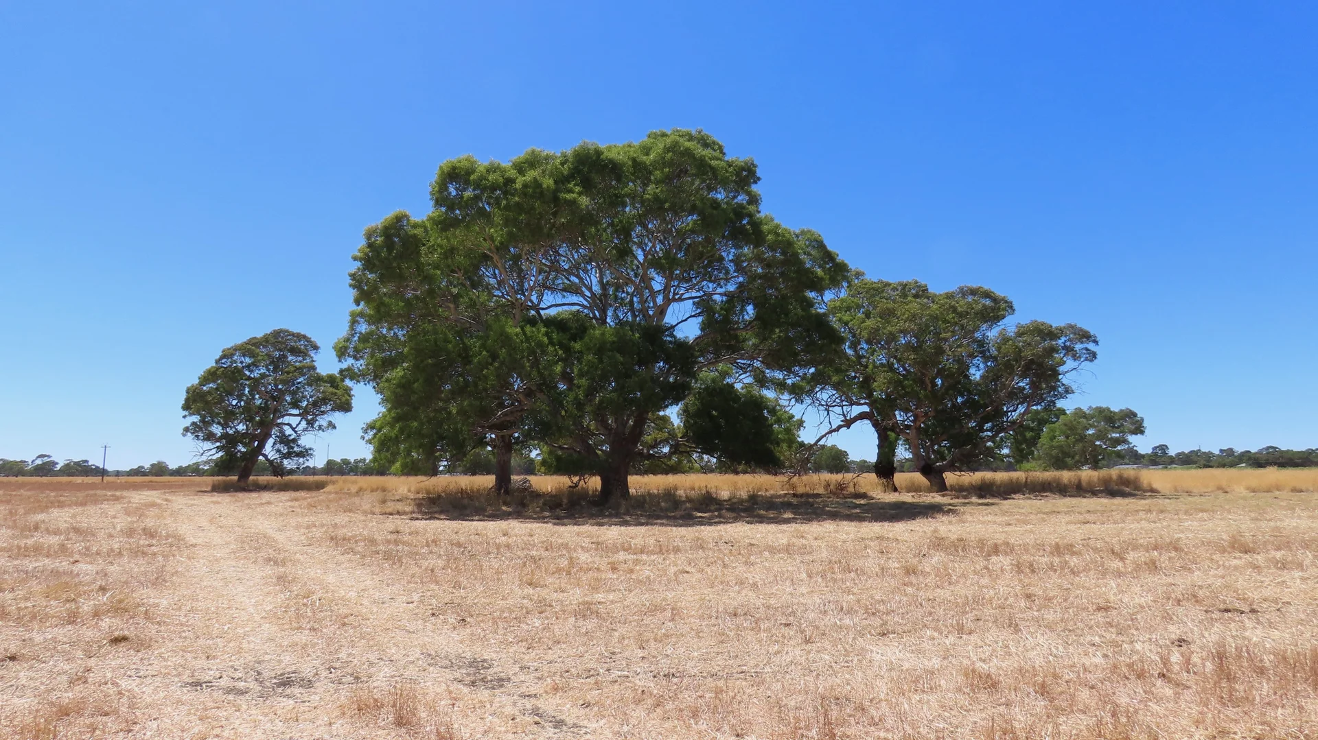 Additional image 20 of 8283 Clay Wells Rd, Penola SA 5277