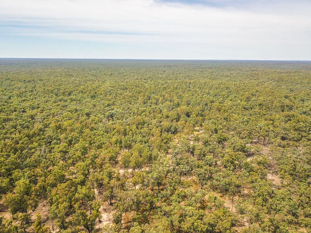 Additional image 18 of Lot 19, 20, 23 & 24 - 650 Yarraman Road, Moama NSW 2731