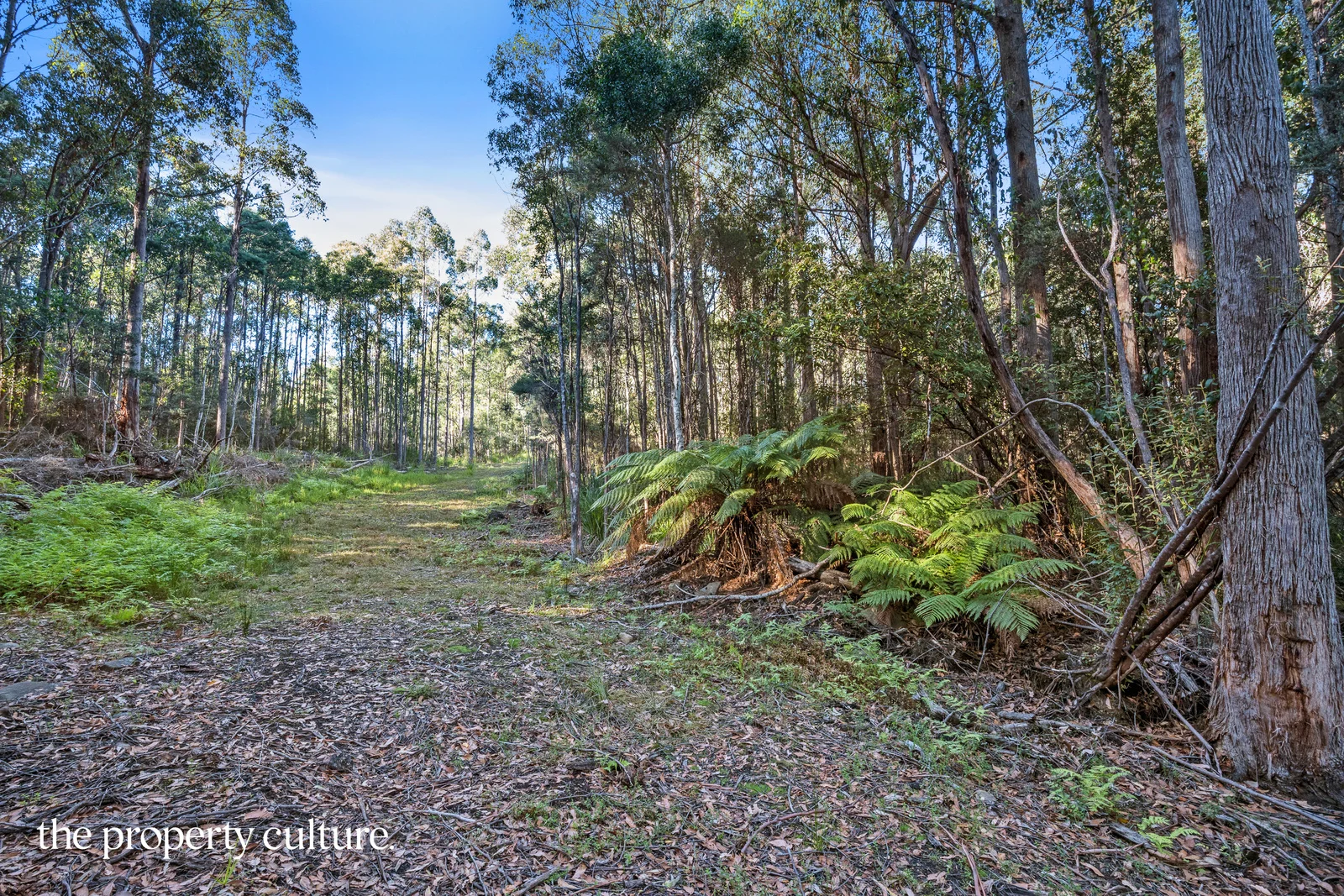 Additional image 11 of 2 Deering Street, Franklin TAS 7113