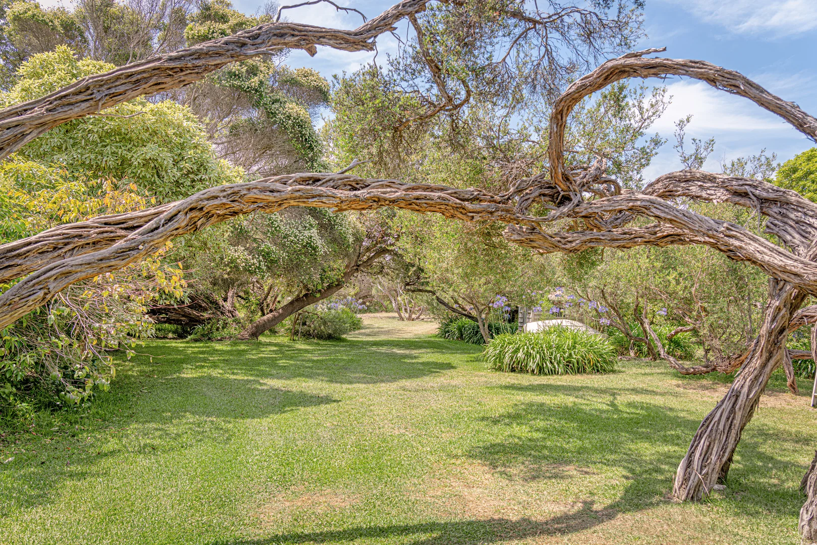 Additional image 5 of 4 McColls Way, Portsea VIC 3944