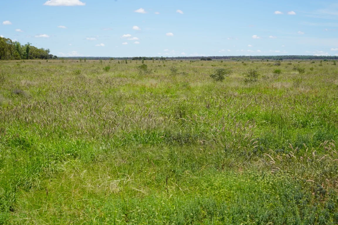 Additional image 18 of 1081 Tareela Access Road, Mungallala QLD 4467