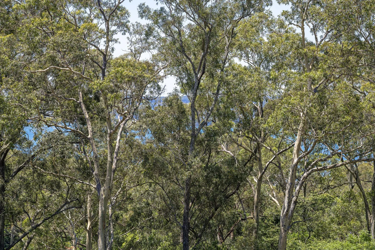 Additional image 12 of 19 Kilaben Bay Road, Kilaben Bay NSW 2283