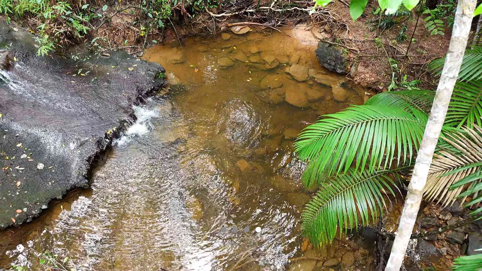 Additional image 2 of 165 Turalba Road, Jubilee Heights QLD 4860