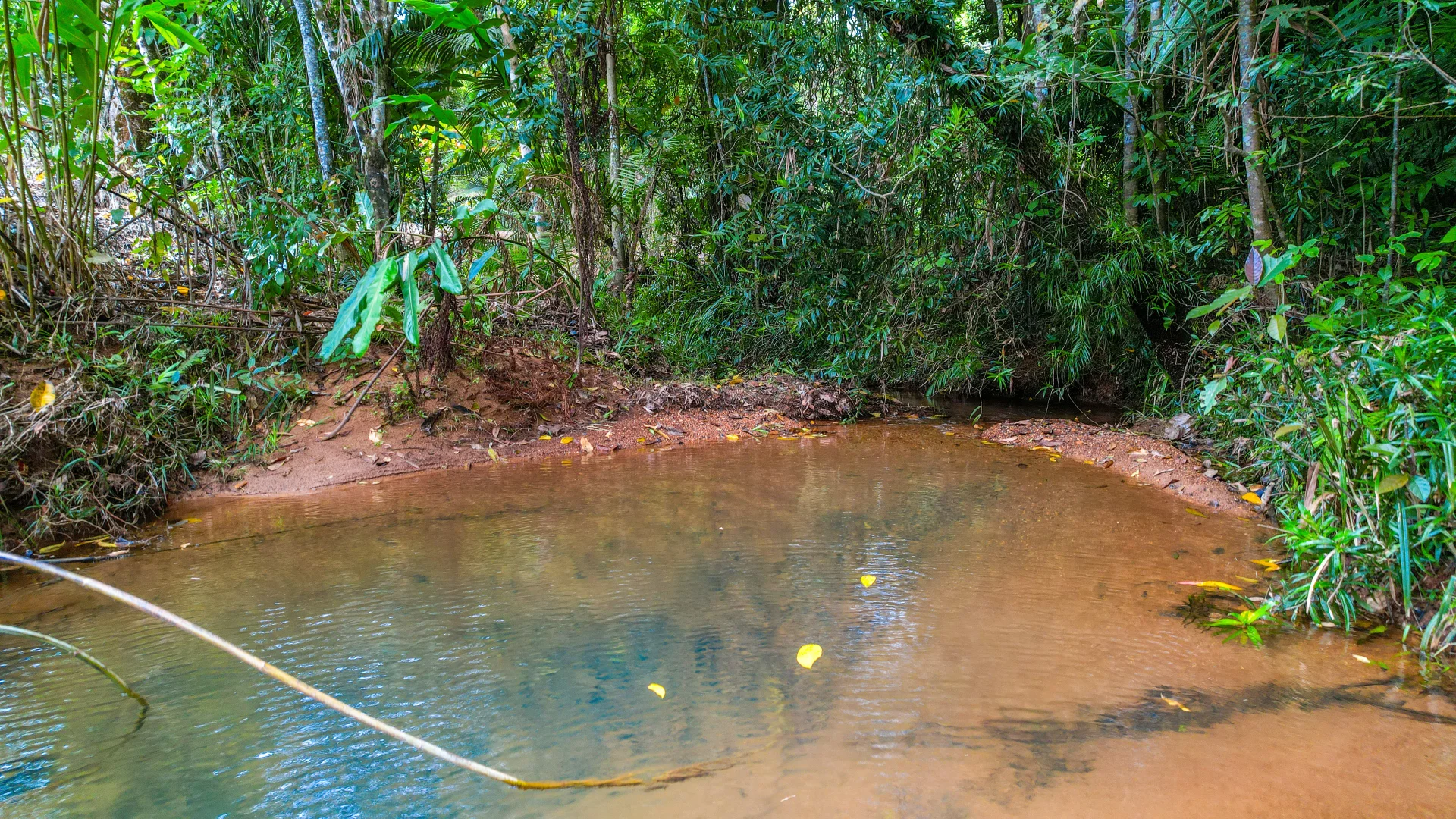 Additional image 36 of Lot 2/370 Hernon Road, Fitzgerald Creek QLD 4860