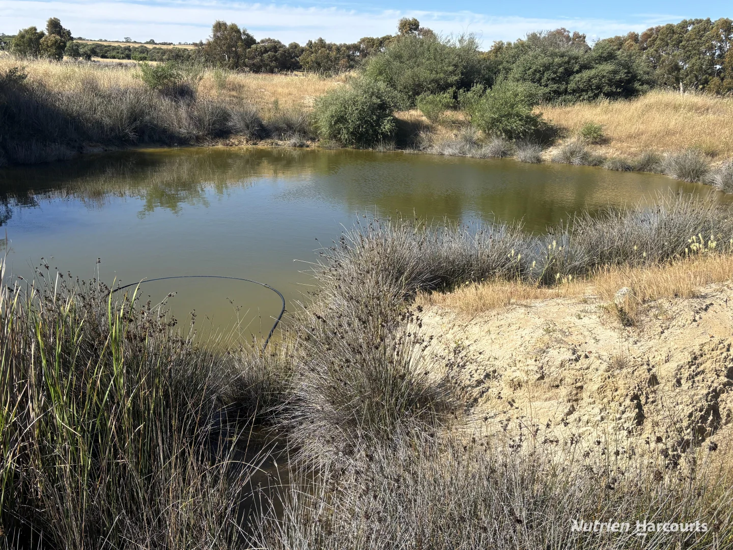 Additional image 23 of . 'Forrestine Farm', Cunderdin WA 6407