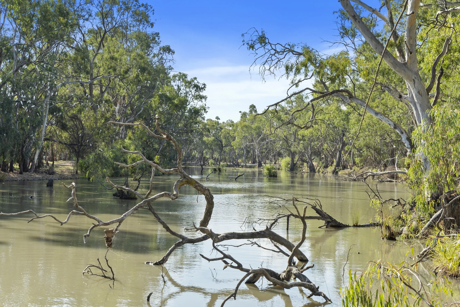 Additional image 32 of 141 Nathalia-Waaia Road, Nathalia VIC 3638