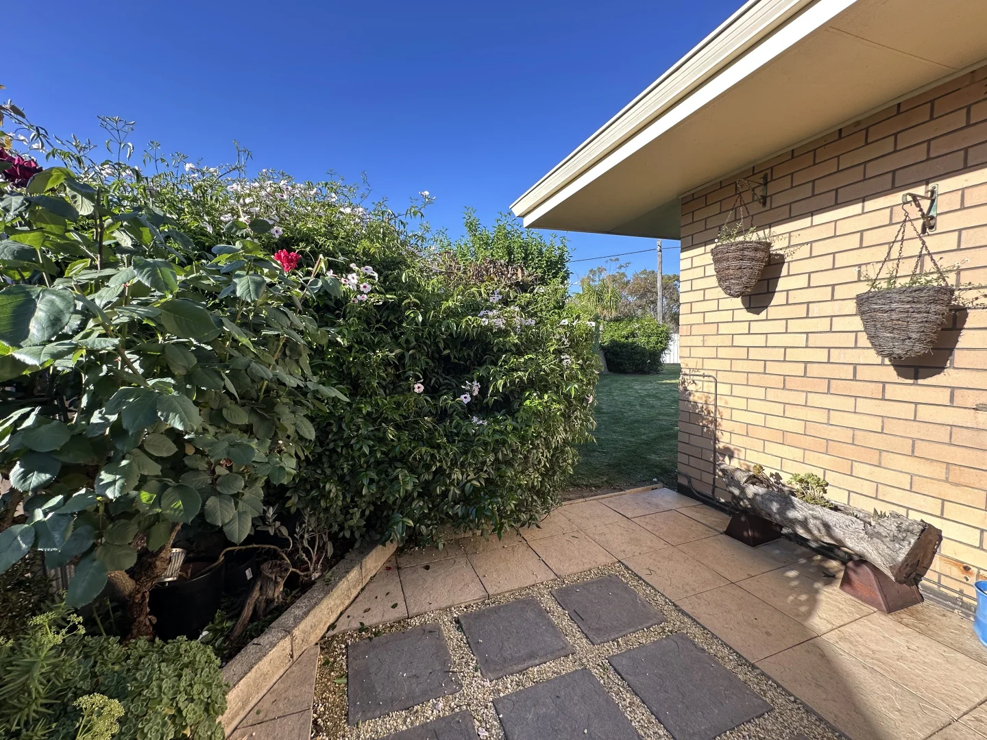 Additional image 30 of 7 Andrews Place, Katanning WA 6317