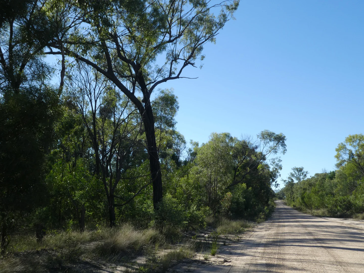 Additional image 3 of Lot 30 Dahlkes Road, Tara QLD 4421