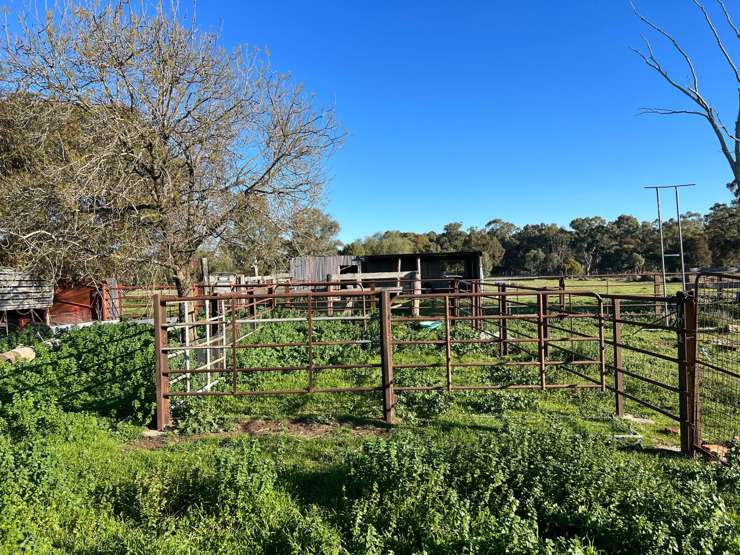 Additional image 11 of 22-24 Bidgee Street, Wagga Wagga NSW 2650