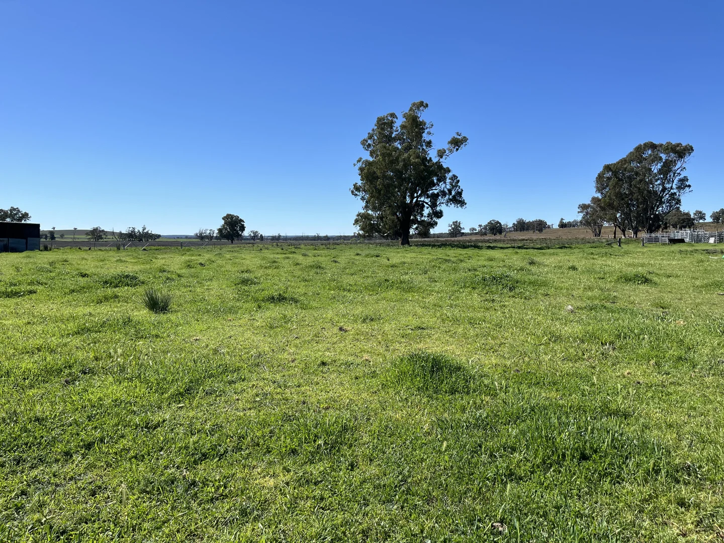 Additional image 15 of "Piambra" 714 Piambra Road, Binnaway NSW 2395