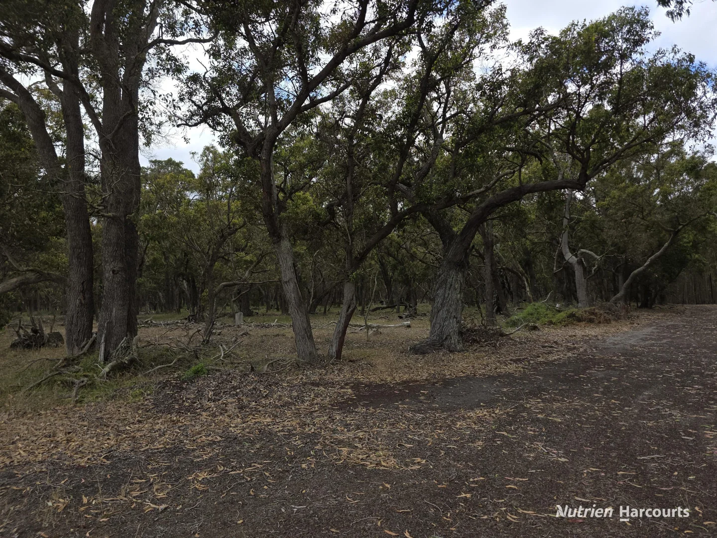 Additional image 6 of 142 Mindijup Road, Palmdale WA 6328
