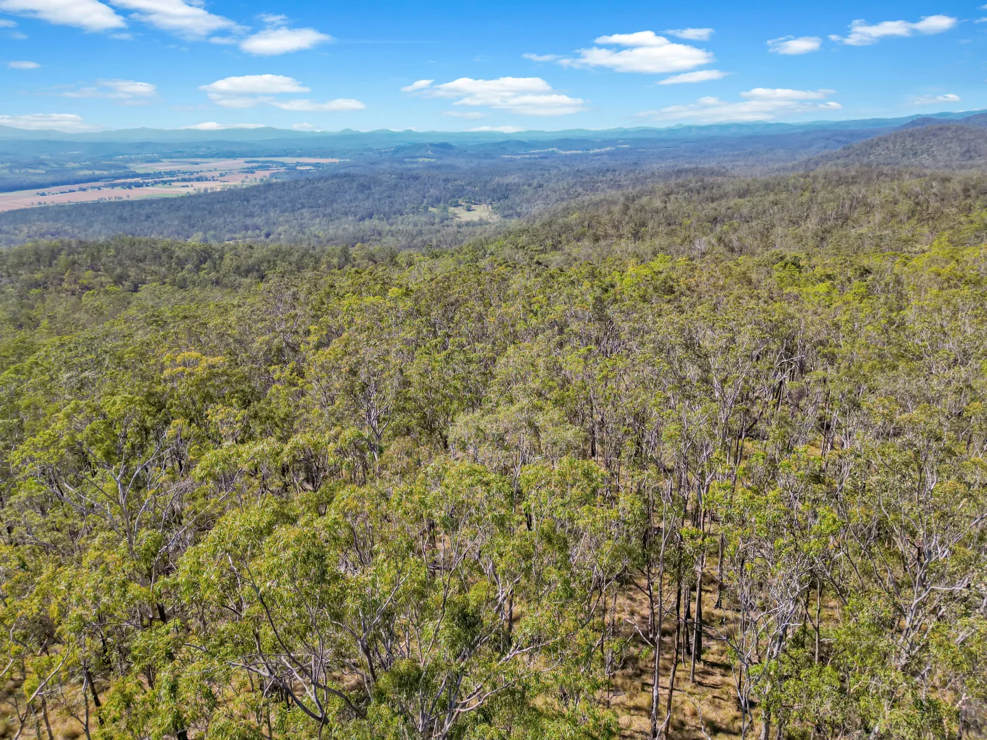 Additional image 6 of Lot 17 Ogilvie Drive, Tabulam NSW 2469