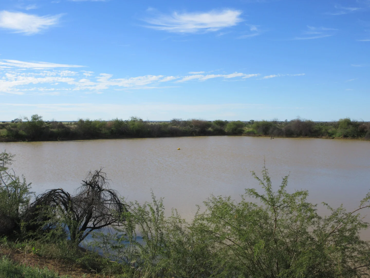 Additional image 14 of 715 Royston Lane, Longreach QLD 4730