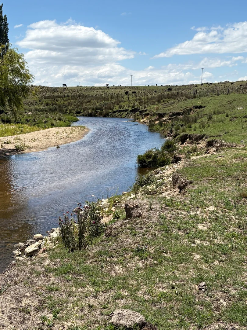 Additional image 5 of 130 Jerrabatgulla Road via Braidwood, Braidwood NSW 2622