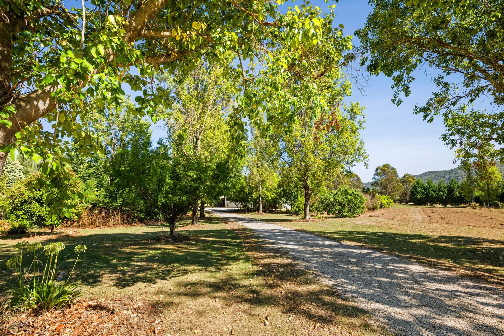 Additional image 30 of 6300 Great Alpine Road, Eurobin VIC 3739