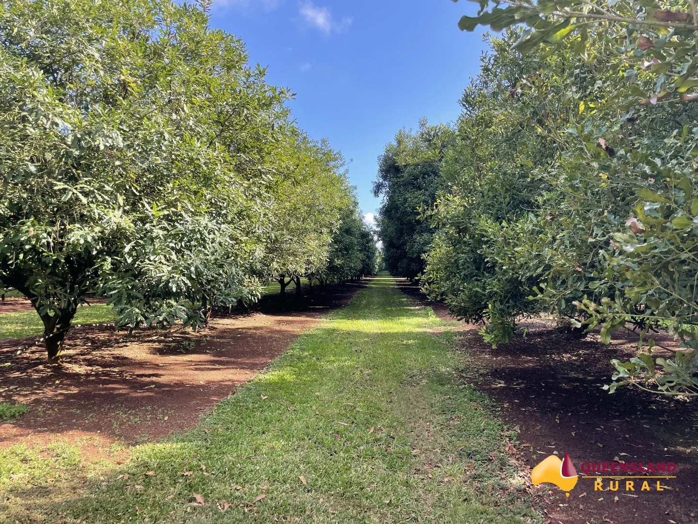 Additional image 29 of Banchio Road, Tolga QLD 4882