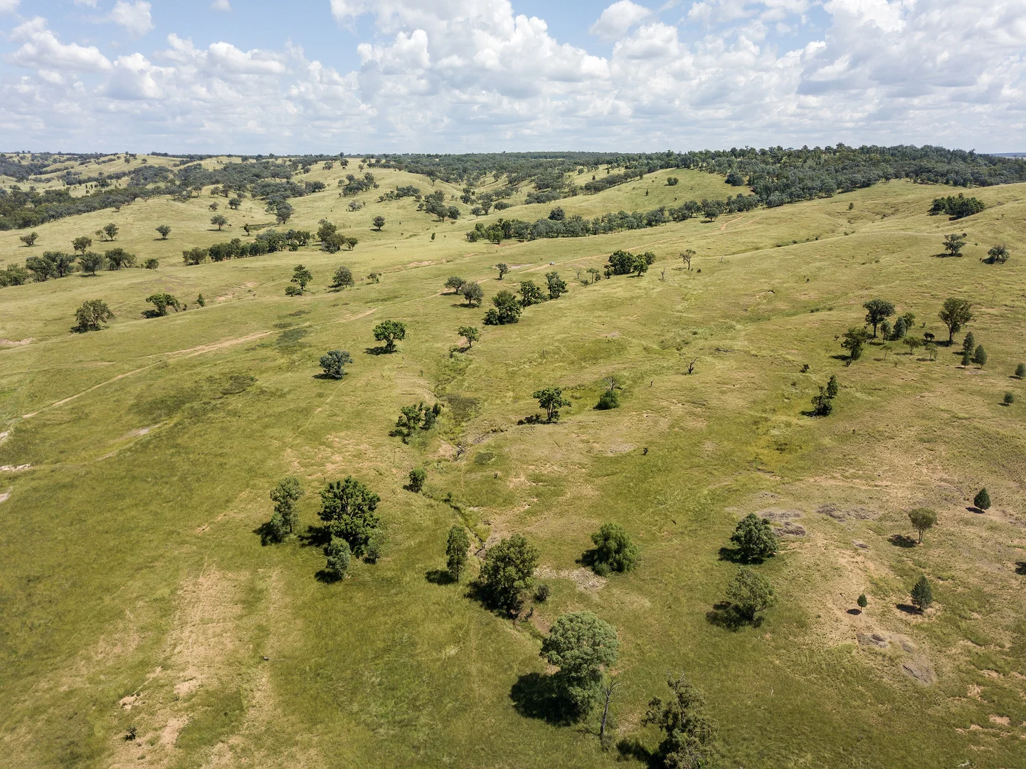 Additional image 13 of 1198 Bukkulla Road, Ashford NSW 2361