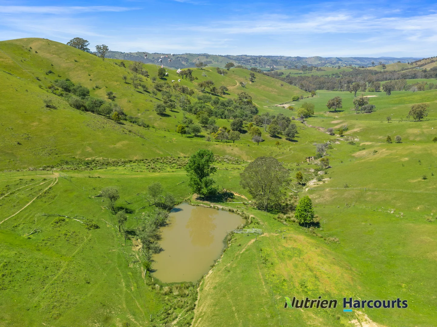 Additional image 16 of 356 Mcnallys Road, Strath Creek VIC 3658